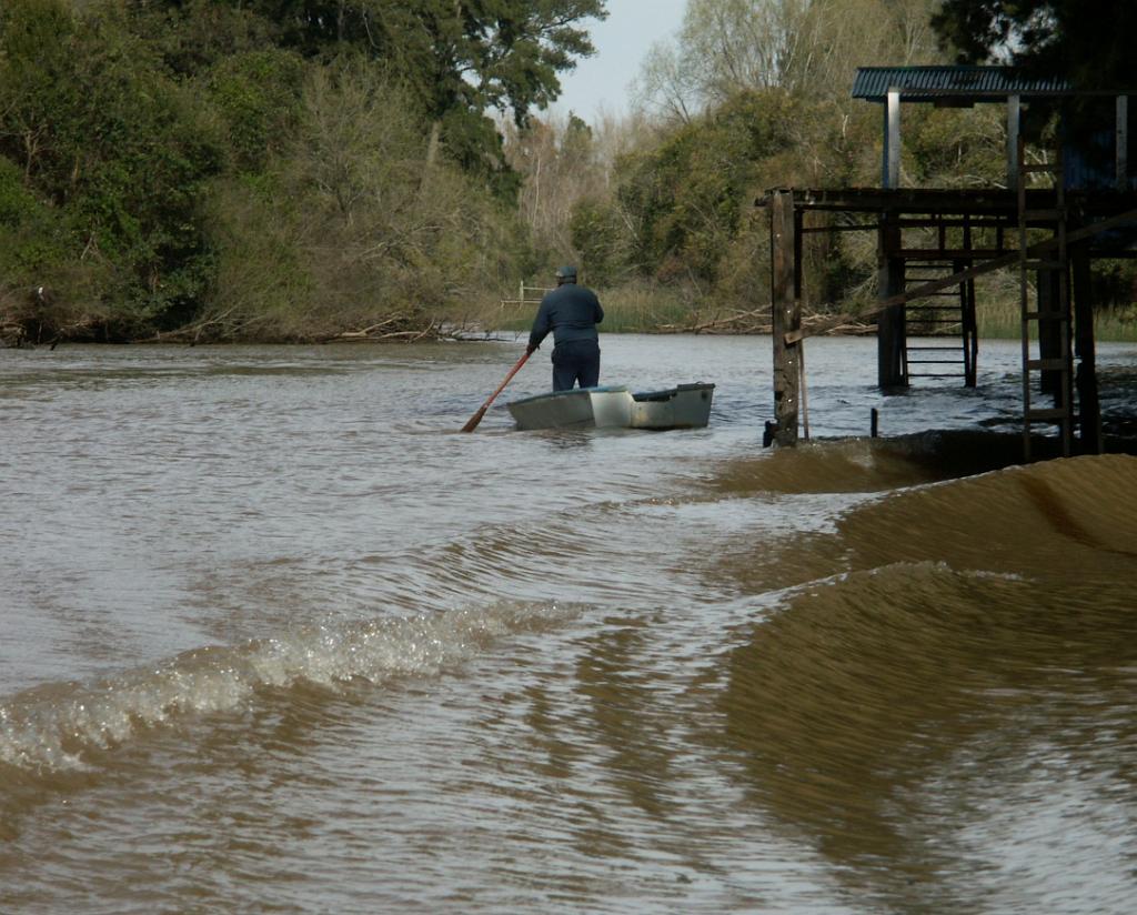 090822_Parana_delta 055.jpg